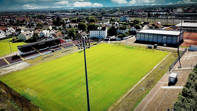 同时也让他 同时也让他